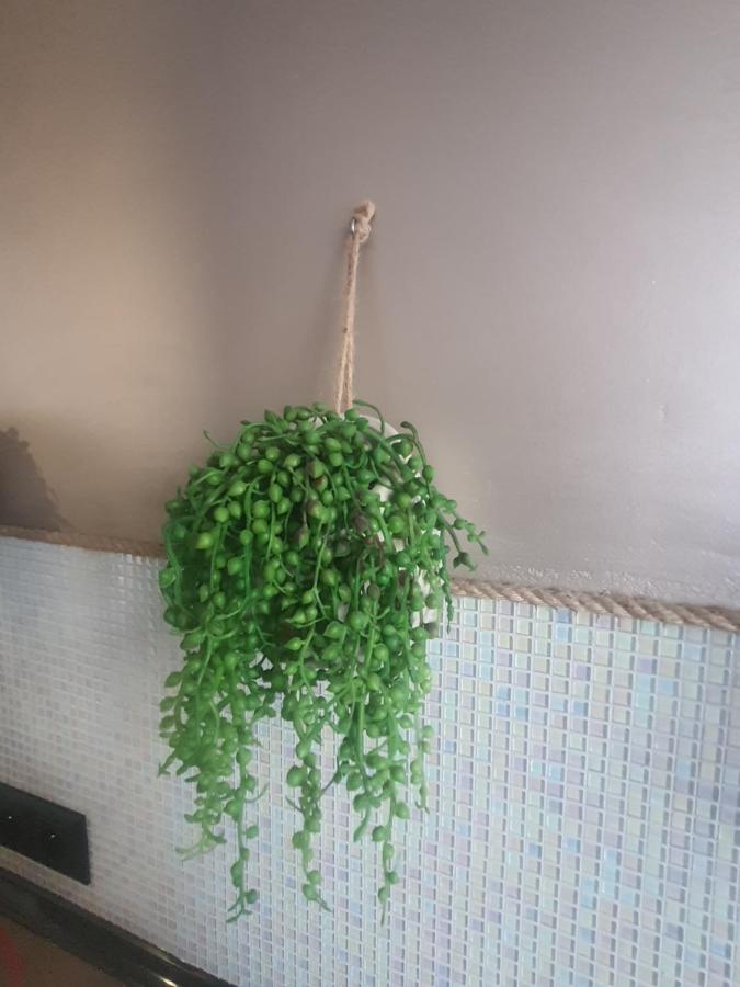 Apartament Nad Fontanna Daire Malbork Dış mekan fotoğraf